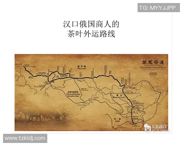 西安篮球队阵地战分析：优劣势与战术调整的深度探讨