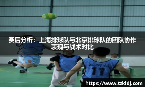 乐鱼体育APP