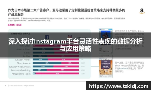 深入探讨Instagram平台灵活性表现的数据分析与应用策略
