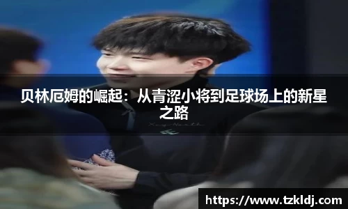 乐鱼体育平台