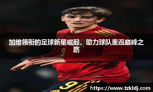 乐鱼体育平台