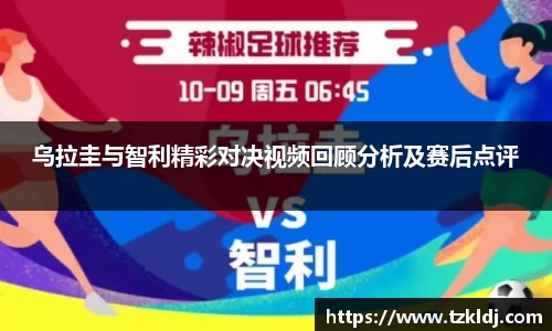 乐鱼体育平台